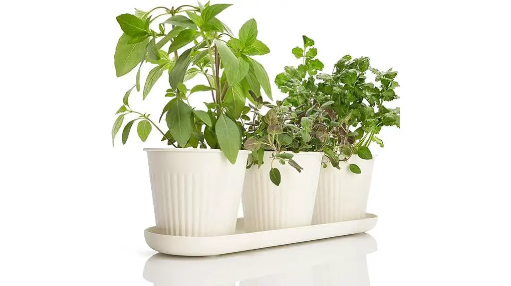 kibaga herb garden planter