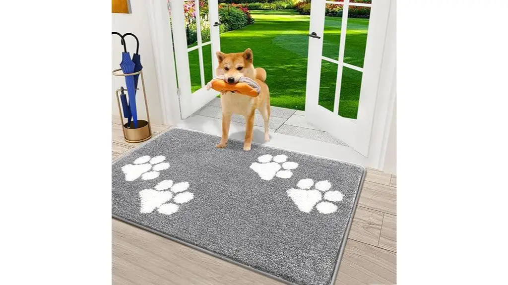 non slip absorbent entryway doormat